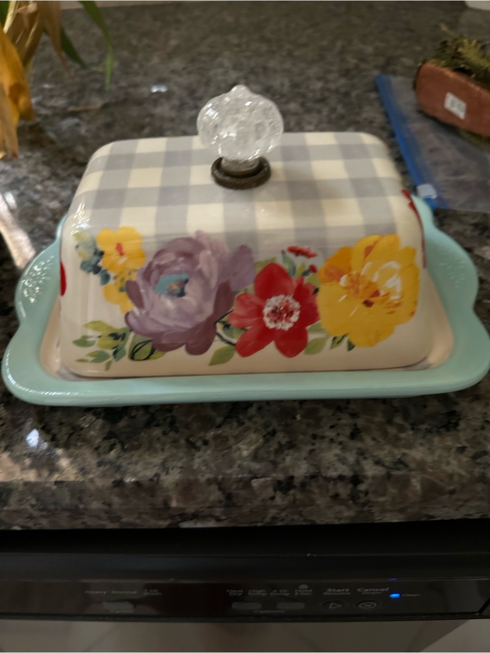Pioneer woman butter dish fits two sticks